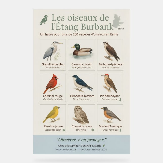 Poster éducatif – Les oiseaux de l’Étang Burbank ( (Front)