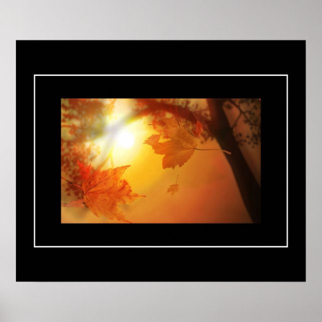 Poster-Fall Leaves Poster (Front)