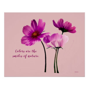 Poster Flowers