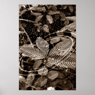 Poster Folhas - Green