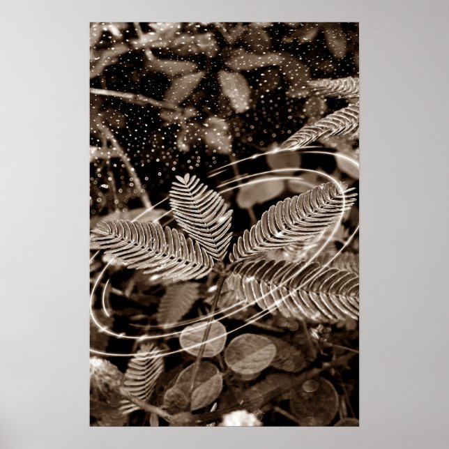 Poster Folhas - Green (Front)