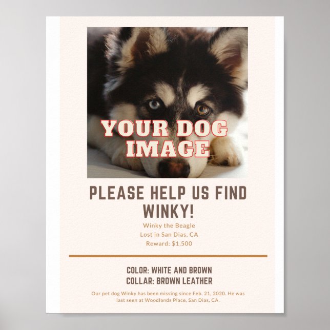 poster for your missing dog (Front)