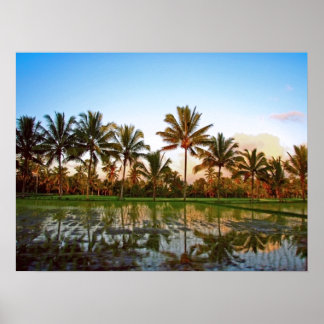 Poster full size (24" x 18") Palm Trees Bali