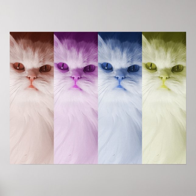 Póster gato de colores poster (Front)