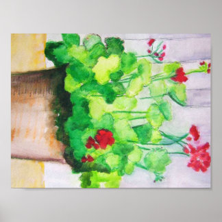 Poster - Geraniums In August