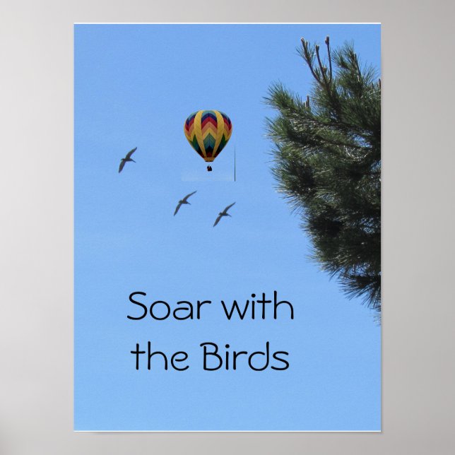 Poster - Hot Air Ballon and Birds (Front)