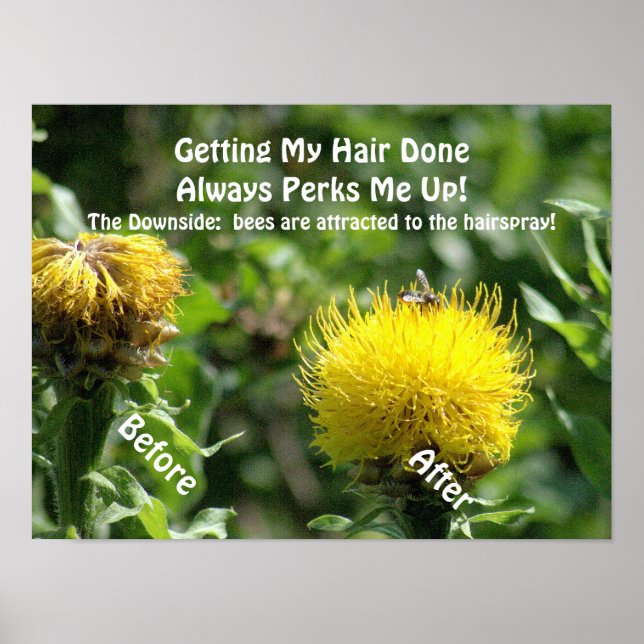 Poster, Humour, "Getting Hair Done Perks Me Up" Poster (Front)