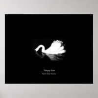 Poster, Hungry Swan, Black & White, Photography