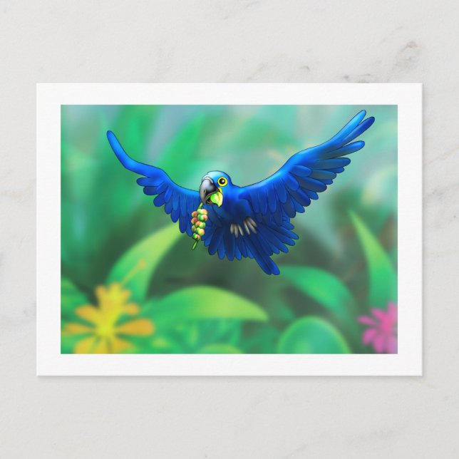 poster_hyacinth macaw postcard (Front)