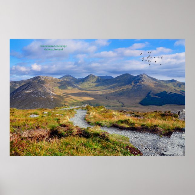 Poster Ireland (Front)