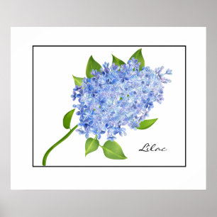Poster-Lilac Poster