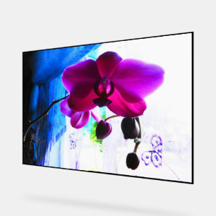 Poster, Magenta Orchid, colour background options Acrylic Sign