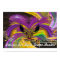 Poster-Mardi Gras Mask The Queen II