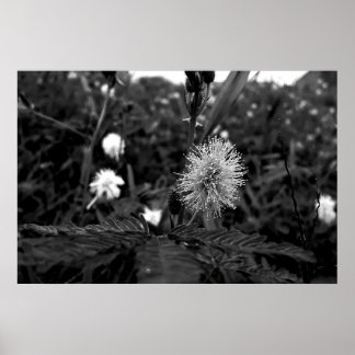 Poster Maria closes the door - dark