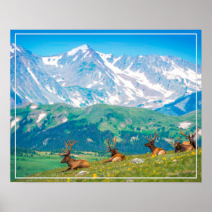 Poster-Mountains & Elk Poster