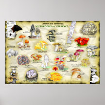 Poster Mushrooms of Vermont