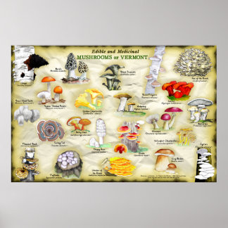 Poster Mushrooms of Vermont