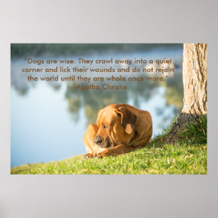 Poster of Boerboel dog with  Inspirational Quote