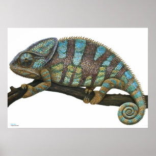 Poster of Chameleon