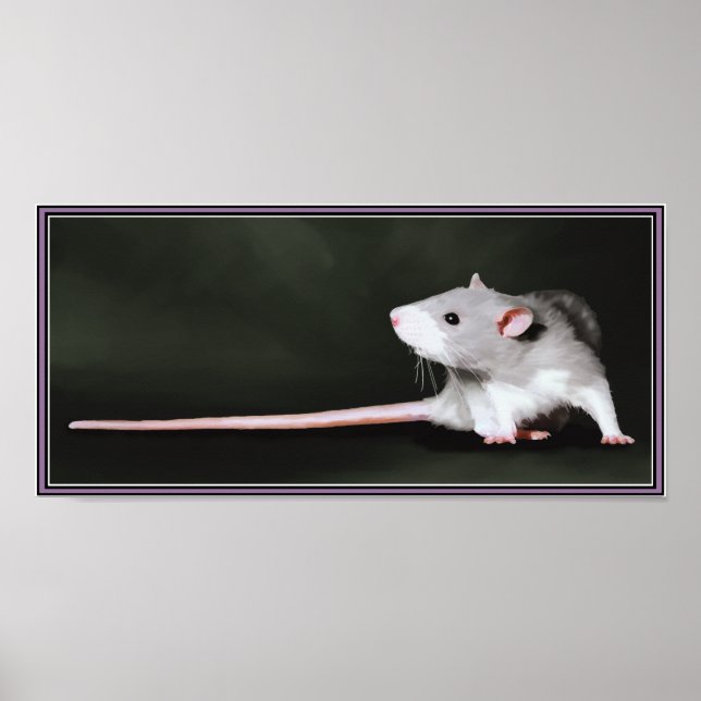 Poster of Cute Rat painting (Front)