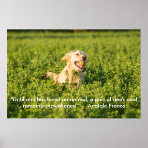 Poster of Golden Retriever with Quote