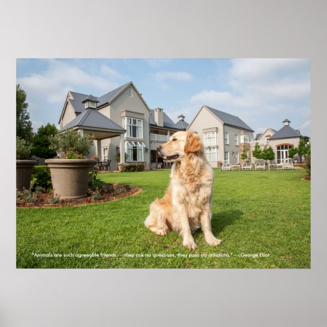 Poster of Golden Retriever with Quote (Front)