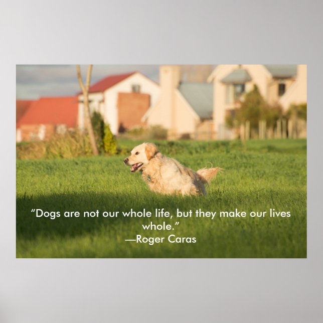 Poster of Golden Retriever with Quote (Front)