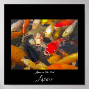 Poster of Koi Fish in Japan