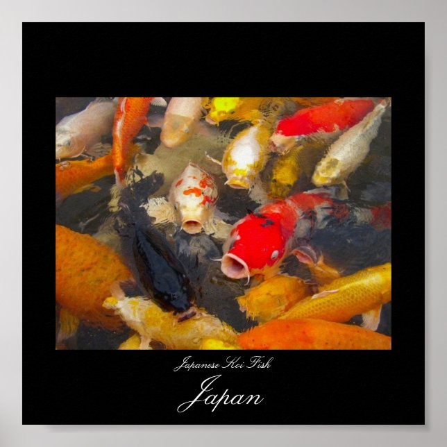 Poster of Koi Fish in Japan (Front)