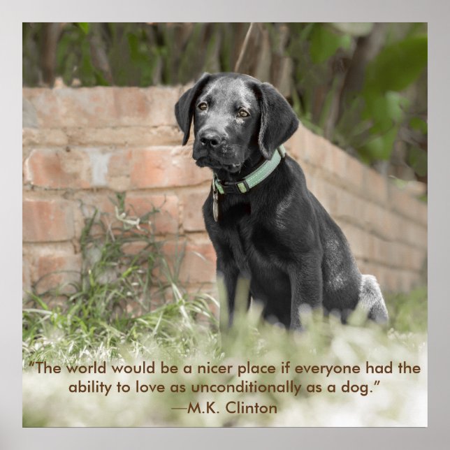 Poster of Labrador Puppy with  Inspirational Quote (Front)