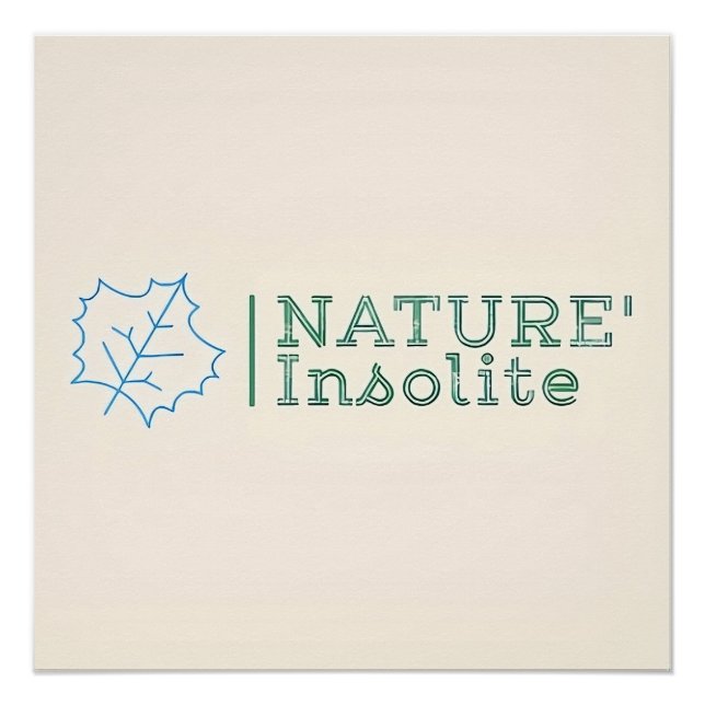 Poster: Official logo of the show Poster (Front)