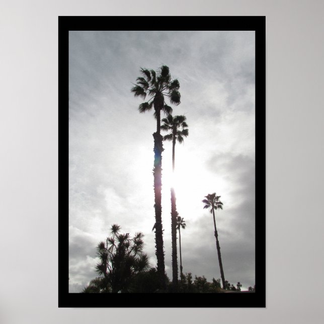 Poster - Palm Tree Silhouette (Front)
