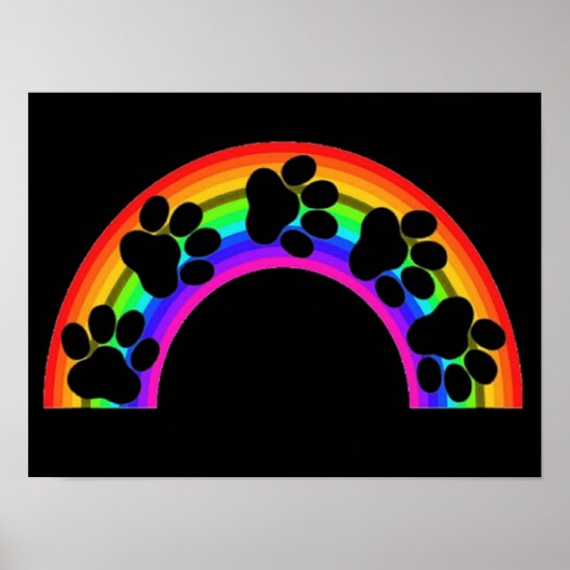 Poster Paws On A Rainbow (Front)