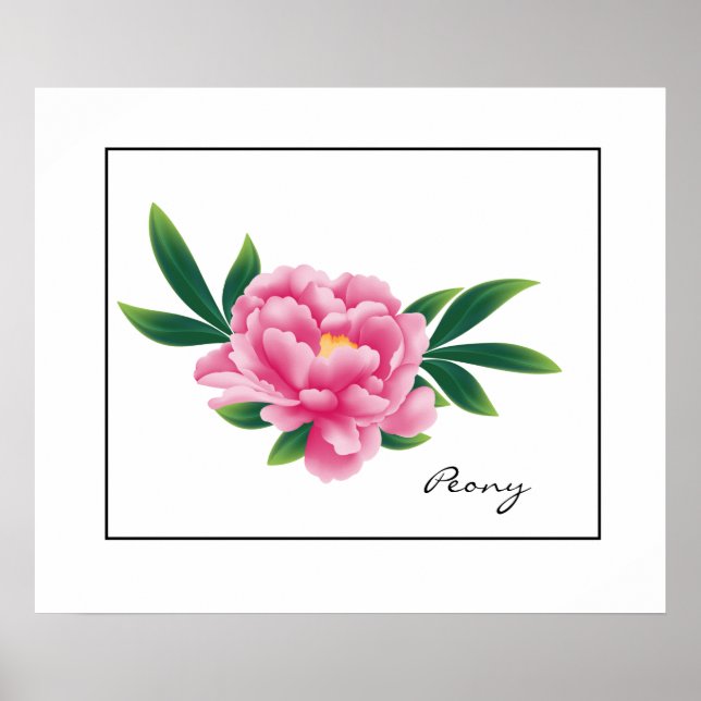 Poster-Pink Peony Poster (Front)