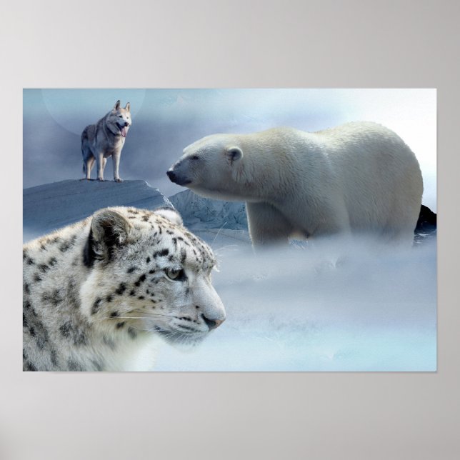 Poster-Polar Bear-Husky-Snow Leopard Poster (Front)