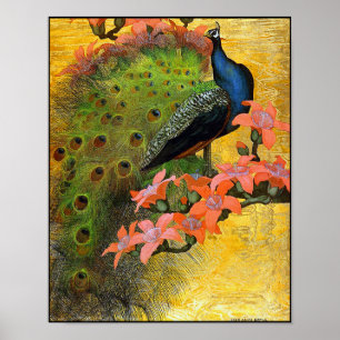 Poster Print: Blue Peacock