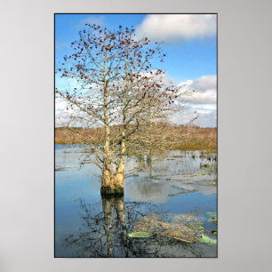 Poster Print: Two Trees as One