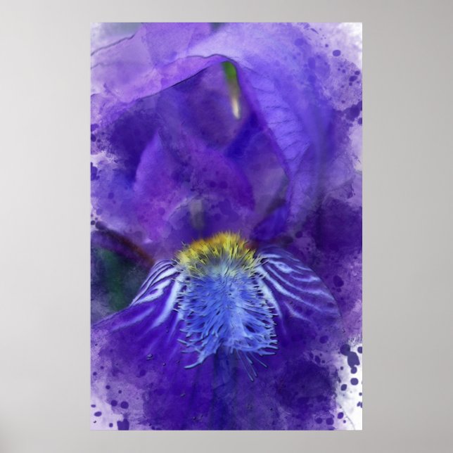 Poster Purple Iris Watercolor (Front)