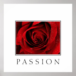 Poster-Red Rose-Passion Poster