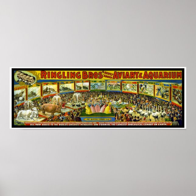 Poster Ringling Brothers Circus "Aviary Aquarium" (Front)