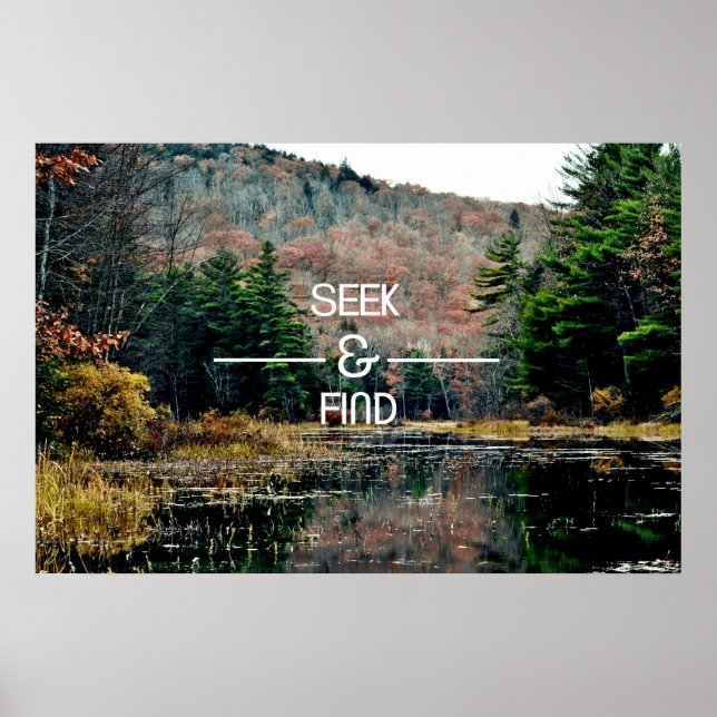 Poster ...Seek & Find (Front)