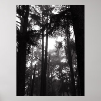 Poster - Silver Silence