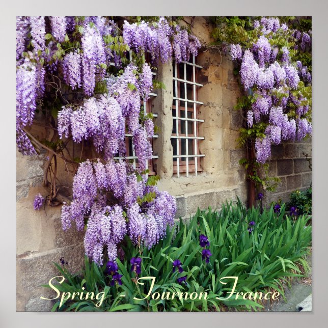 POSTER - Spring  - Tournon France (Front)