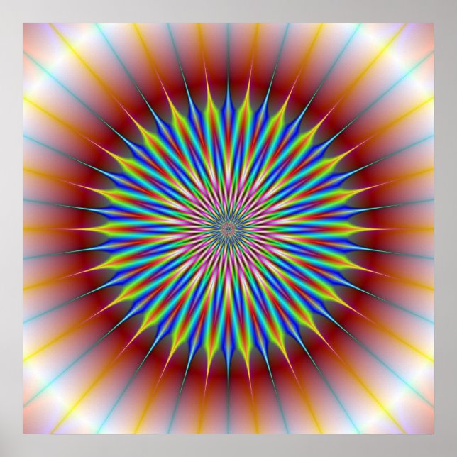 Poster  Star Flower (Front)