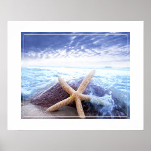 Poster-Starfish Poster