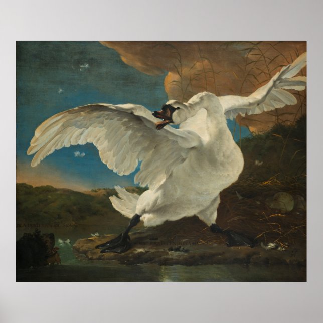 Poster Swan Asselijn (Front)