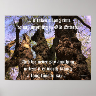 Poster - Trees of Wisdom with Ent Quote