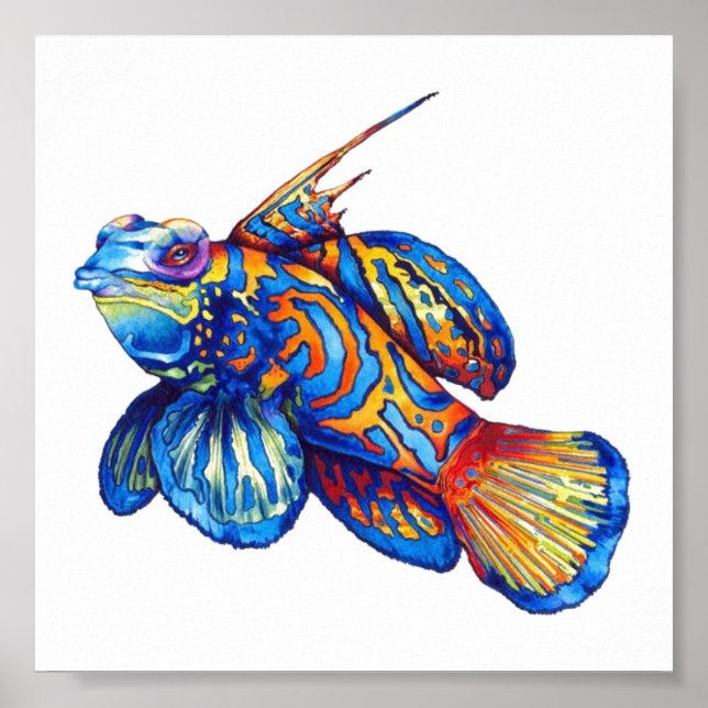 Poster - Tropical Fish (Front)