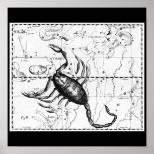 Poster-Vintage Astrology/Divination-10 Poster