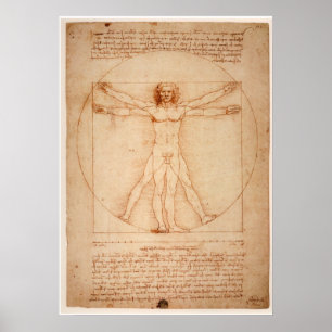 Poster Vitruvian Man by Leonardo da Vinci